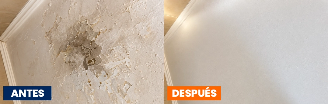 pintura22renova
